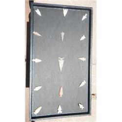 Bird Point Collection