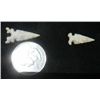 Image 2 : Frame of Bird Points