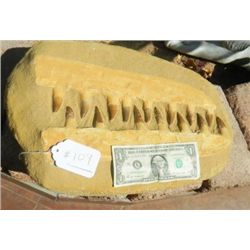 Mososaur Jaw in Matrix