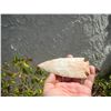 Image 1 : Dove Tail Spear