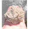 Image 2 : Gypsum Crystal