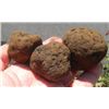 Image 1 : Manganese Nodules Three
