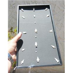 Group of Bird Points