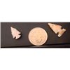 Image 2 : Group of Bird Points