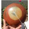 Image 2 : Chupicuaro Bowl
