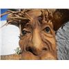 Image 1 : Root Mask