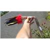 Image 1 : Peyote Dance Fan