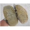 Image 2 : Eskimo Moccasins