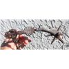 Image 1 : Spanish Colonial Spur