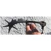 Image 2 : Spanish Colonial Spur