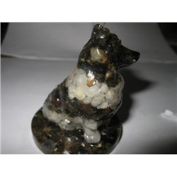 Black and White Collie dog