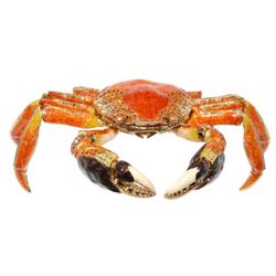 Enormous Faberge Inspired Crab Jewelry Box