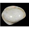 Image 1 : Opalized Fossil Clam Shell Opal Multi-Color 43.5 Ct
