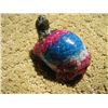 Image 3 : Patriotic Turtle