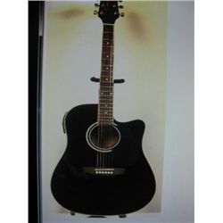 Takmine Jasmine Acoustic/Electric Guitar