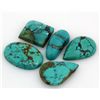 Image 1 : Turquoise 121.50ctw MixShape&Sizes LooseGemstone