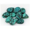 Image 1 : Turquoise 100.50ctw MixShape&Sizes LooseGemstone