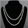 Image 1 : 461.01CTW 46" WHITE LONGSTRAND FRESHWATER PEARL NECKLAC