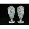 Image 1 : A pair of French opaline glass vases paint...