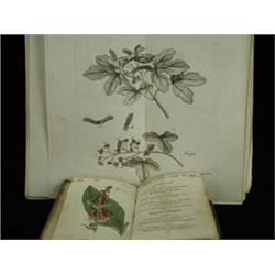 Aikin, John, The Woodland Companion: or A ...