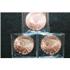 Image 1 : Golden State Mint Copper Round; .999 Fine Copper 1 Oz.; Lot of 3; "1929 Indian Chief"