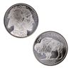 Nice Buffalo Silver Round Bullion Lot (10)