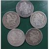 Image 1 : Lot of 5 Morgans- Silver Dollars