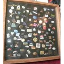 PIN COLLECTION IN SHADOW BOX  MAMMOTH  SEA WORLD LOTTERY AND MORE