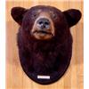 Image 2 : Lot 067_: Black Bear Head Mount