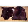 Image 1 : Lot 077_: Two (2) Antique Bear Hide Blankets, Ca.1900