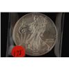 Image 1 : 2009 Silver Eagle $1