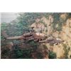 Image 2 : Photo of Two Military Helicopters in Vietnam; Size 10x15; Side View