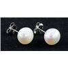 Image 2 : 16.19CTW WHITE RICE PEARL EARRING PHILIPPINES