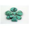 Image 1 : Turquoise 174.79ctw MixShape&Sizes LooseGemstone