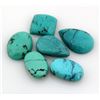 Image 1 : Turquoise 109.00ctw MixShape&Sizes LooseGemstone