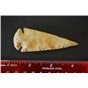 Image 1 : Indian Arrowhead