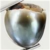 Image 1 : 9.68ct Freeform Tahitian Black Pearl (GEM-45772)