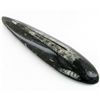 Image 1 : 142gm Polished Orthoceras Large Fossil (MIN-001902)