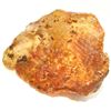 Image 2 : 1180ct Natural Peru Amber Rough HUGE w/Insects! (MIN-000938)