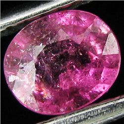 0.44ct Pink Tourmaline Appraised $217 (GEM-44323)