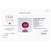 Image 2 : 0.44ct Pink Tourmaline Appraised $217 (GEM-44323)
