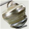 Image 1 : 17.04ct Freeform Tahitian Black Pearl (GEM-45780)