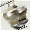 Image 2 : 17.04ct Freeform Tahitian Black Pearl (GEM-45780)