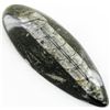 Image 1 : 96gm Polished Orthoceras Large Fossil (MIN-001947)