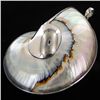 Image 1 : 200twc Filled Nautilus Sterling Pendant (JEW-3439)