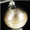 Image 1 : 11.67ct Freeform Tahitian Black Pearl (GEM-45661)