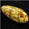 Image 1 : Scarce Collectible Oliva Miniacea Shell (SHL-000107)