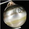 Image 1 : 18.37ct Freeform Tahitian Black Pearl (GEM-45657)
