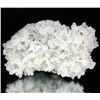 Image 1 : 353gm Prehnite Crystal Cluster (MIN-001771)