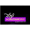Image 1 : Scrutineyes, The game of closer looks
